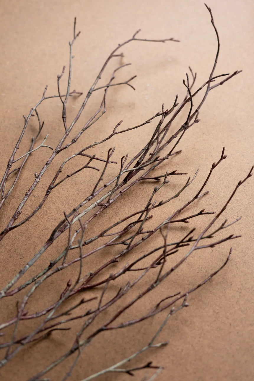 A bundle of dried brown twig branches with no leaves, arranged diagonally on a textured brown kraft paper background.