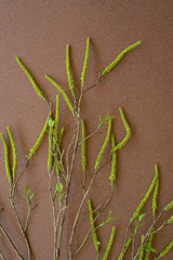Artificial Willow Flowers Spray - Green (Box of 6)