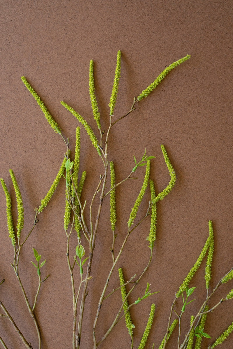 Artificial Willow Flowers Spray - Green (Box of 6)