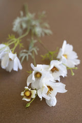 Artificial Cosmos Spray - White (Box of 6)