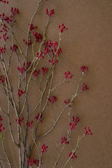 Artificial Red Berry Spray (Box of 6)