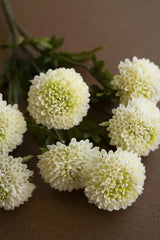 Bundle of Seven Artificial Dalhias - White (Box of 6)