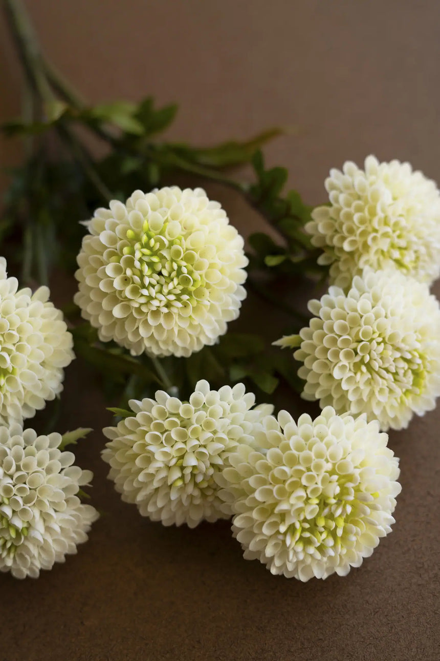 Bundle of Seven Artificial Dalhias - White (Box of 6)