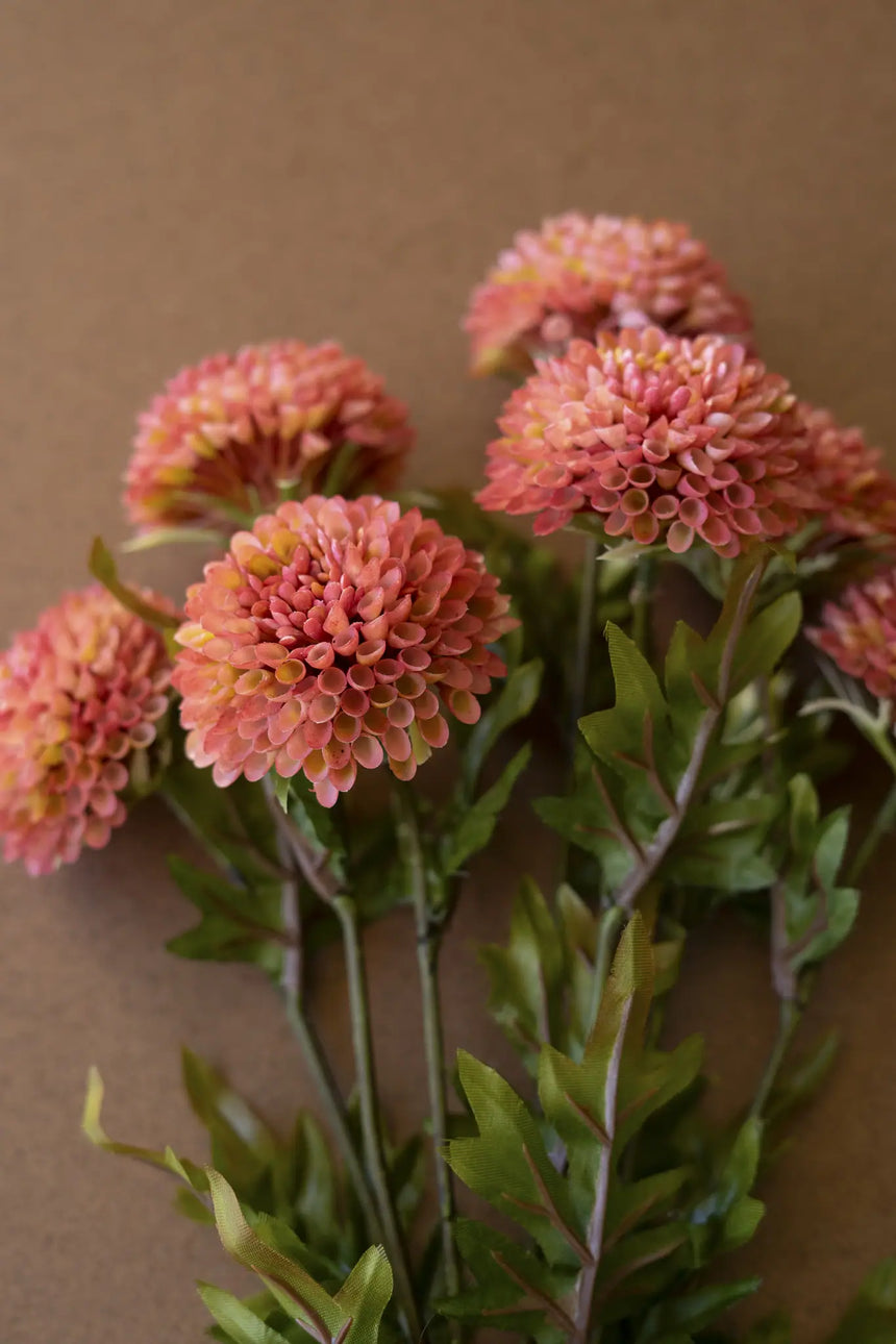 Bundle of Seven Artificial Dalhias - Blush (Box of 6)