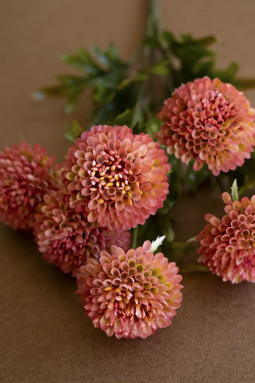 Bundle of Seven Artificial Dalhias - Blush (Box of 6)