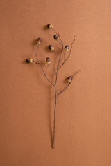 Acorn spray - dried botanical stem with several small acorns, arranged on a warm brown textured background