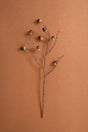 Acorn spray - dried botanical stem with several small acorns, arranged on a warm brown textured background