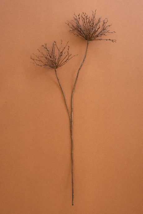 Artificial botanical spider branch stem with feathery, branching tops arranged vertically against a solid terracotta background