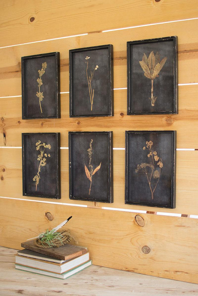 six botanical prints framed and protected by glass