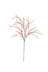 Botanica #9008 (Box of 6)