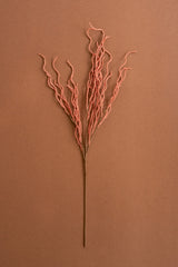 Botanica #9008 (Box of 6)