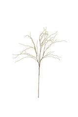 Botanica #9009 (Box of 6)