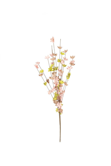 Botanica #9012 (Box of 6)