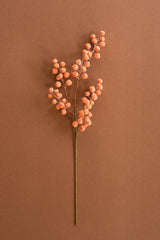 A single stem of dried orange berries with a long brown stem, photographed against a solid warm brown background.