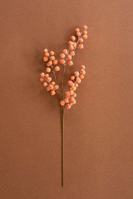 A single stem of dried orange berries with a long brown stem, photographed against a solid warm brown background.