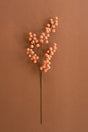 A single stem of dried orange berries with a long brown stem, photographed against a solid warm brown background.