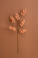 Botanica #9020 (Box of 6)
