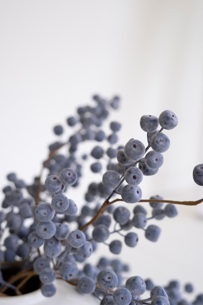 Close-up of blue berries on a white background