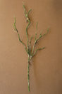 A single dried botanical stem with branching greenish-brown twigs and small tan seed or resin-like nodes, photographed upright on a plain warm brown background.