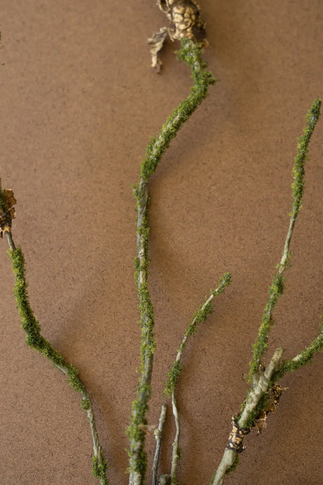 Green mossy branches with small dried brown leaves arranged on a plain brown background.