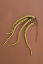 Yellow faux amaranthus plant stems against a brown background