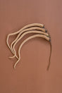 A neutral-toned grass stem with beautifully arched blades that evoke dried field grasses.