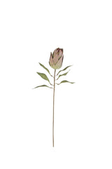 A single artificial protea flower stem with a pale pink bud, green leaves, and a brown stem, isolated on a white background.