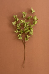 A single artificial-looking leafy branch with small light green leaves on a brown stem, photographed against a solid warm brown background.