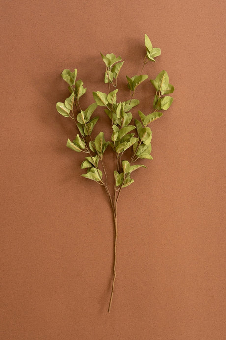 A single artificial-looking leafy branch with small light green leaves on a brown stem, photographed against a solid warm brown background.