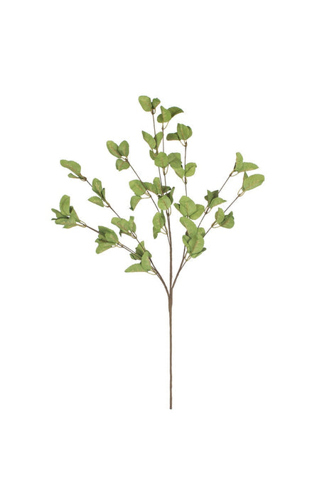 Artificial green leaf branch on a white background
