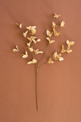 A dried decorative branch with small pale beige leaves on a long stem, photographed against a solid warm brown background