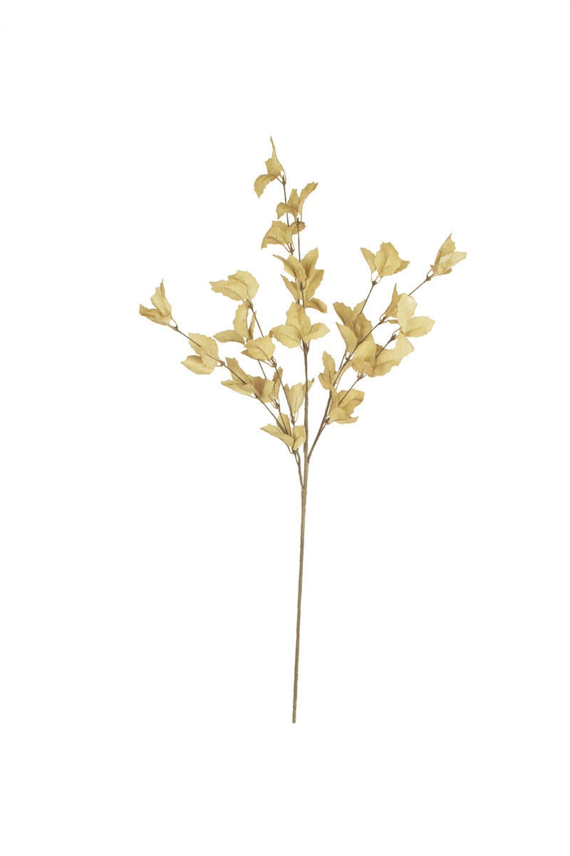 Botanica #9038 (Box of 6)