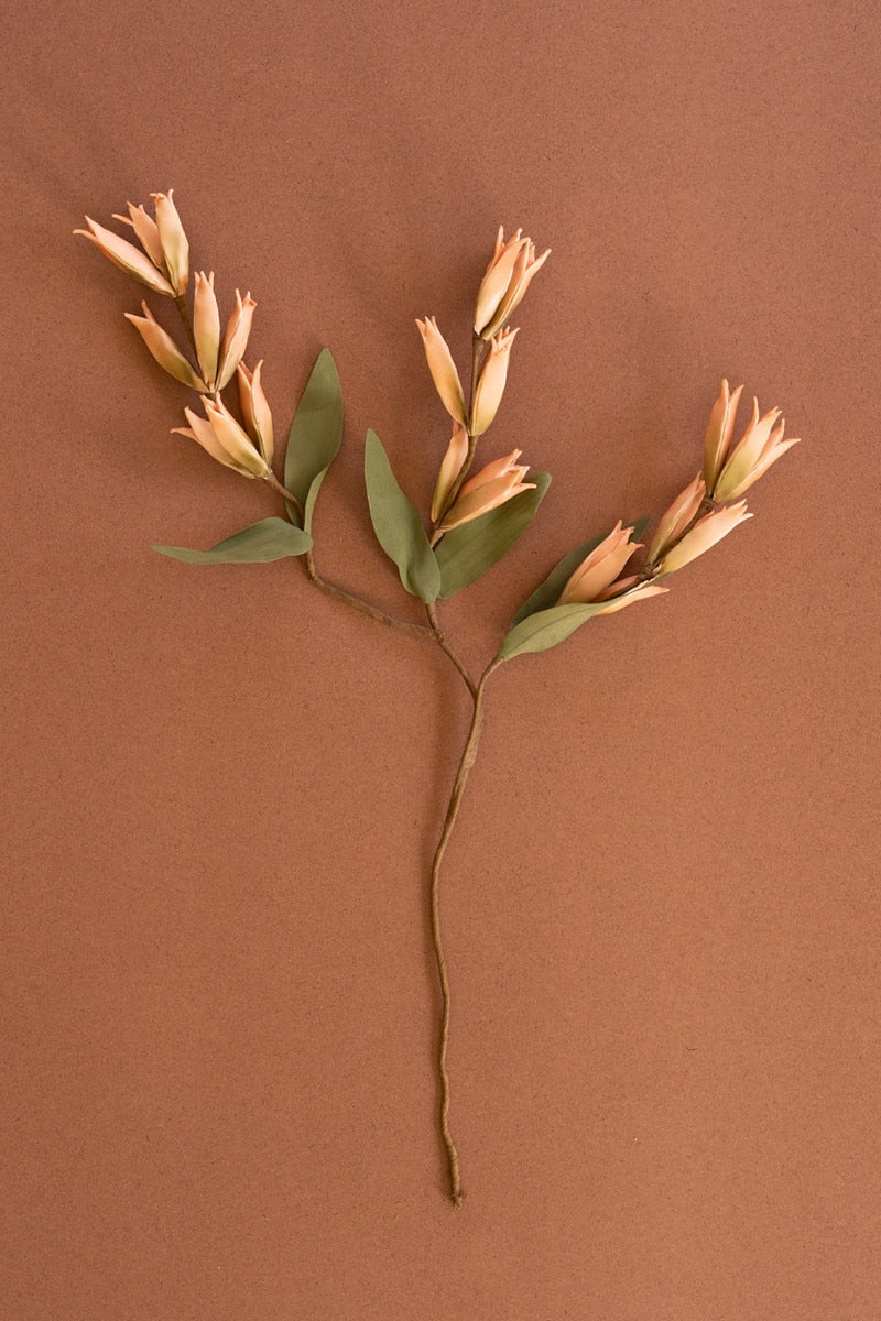 Botanica #9039 (Box of 6)