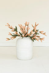Botanica #9039 (Box of 6)