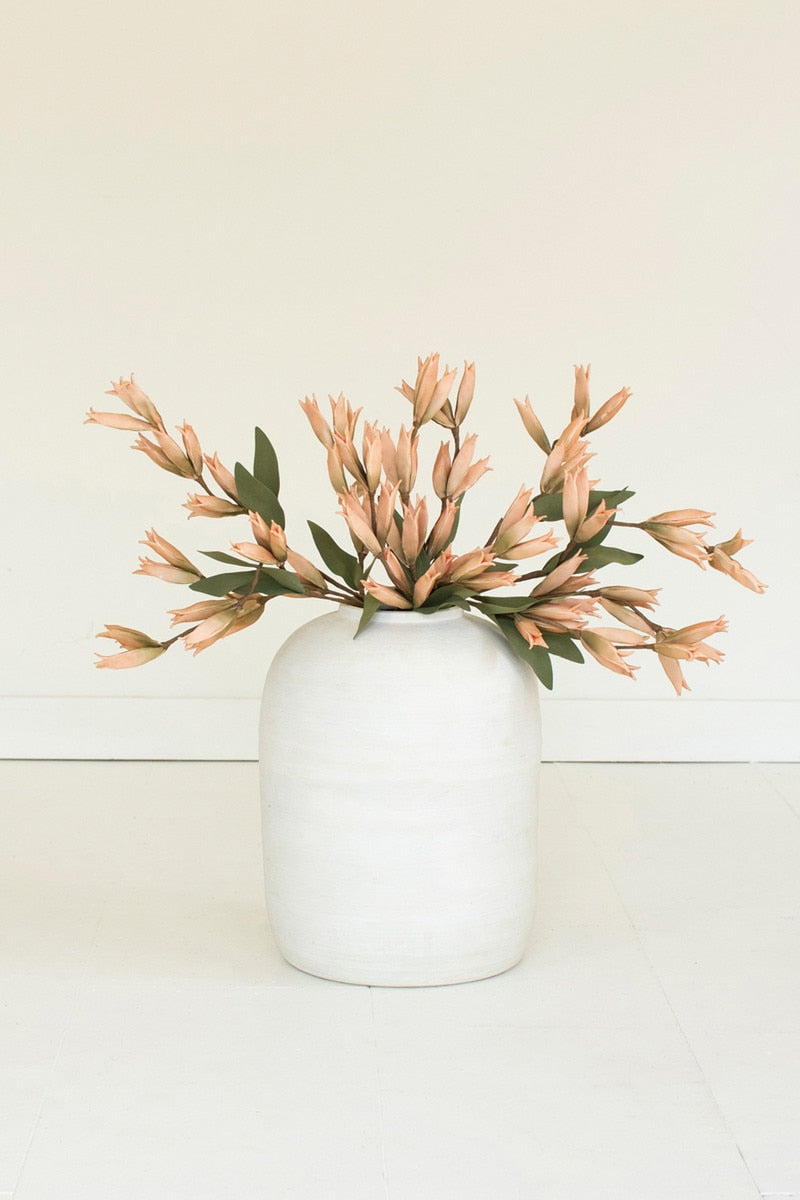 Botanica #9039 (Box of 6)