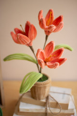 Potted plant with orange flowers on a surface with a blurred background