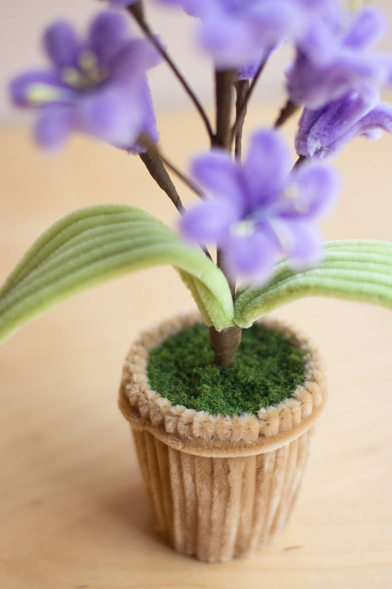 Miniature potted plant with purple flowers on a wooden surface