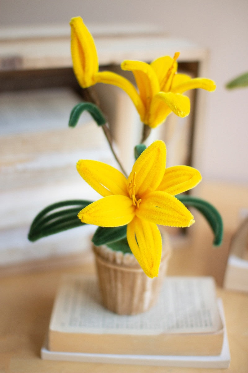 Yellow flowers in a pot on a table with a blurred background