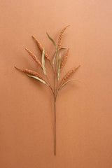 A single dried ornamental grass stem with tan seed cones and muted green leaves, centered on a warm terracotta background.