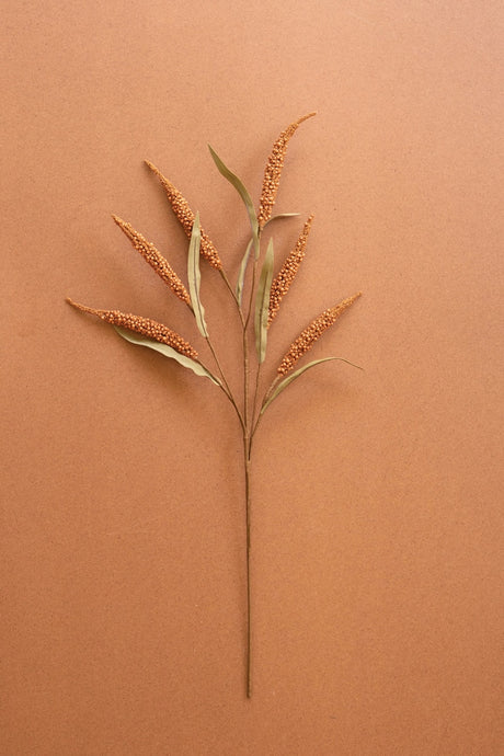 A single dried ornamental grass stem with tan seed cones and muted green leaves, centered on a warm terracotta background.