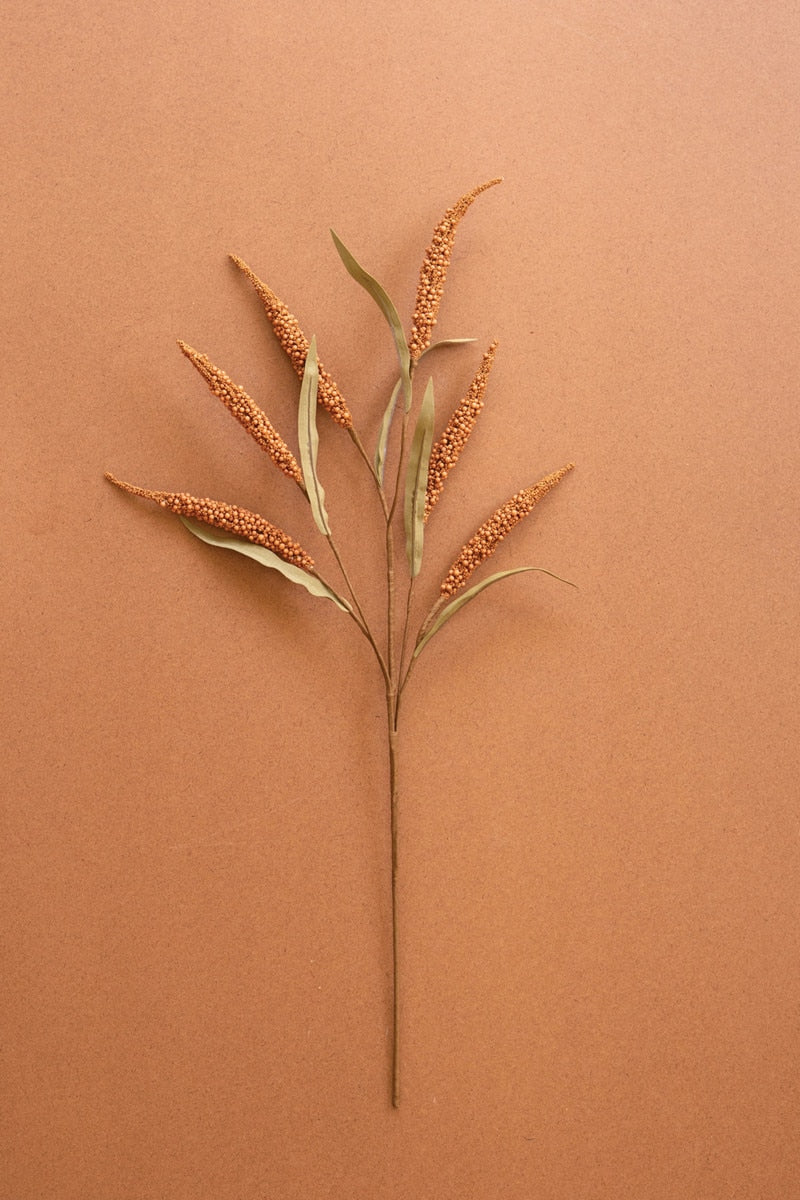 A single dried ornamental grass stem with tan seed cones and muted green leaves, centered on a warm terracotta background.