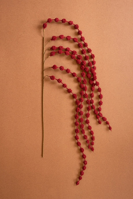 A dried botanical stem with clusters of small red berries arranged on a warm tan background.