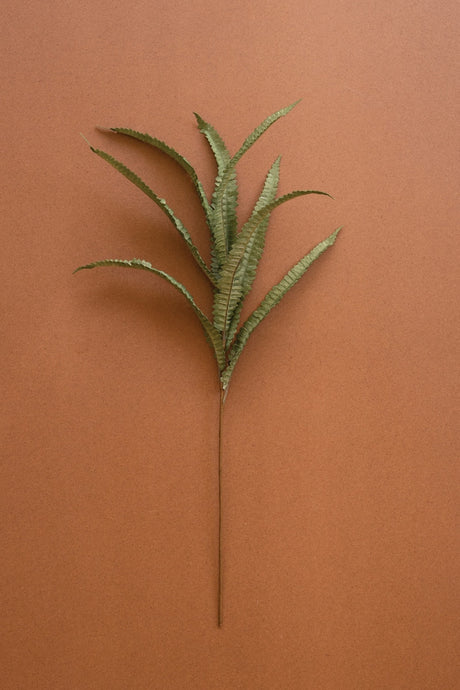 A single artificial fern stem with green fronds, laid flat on a solid terracotta brown background.