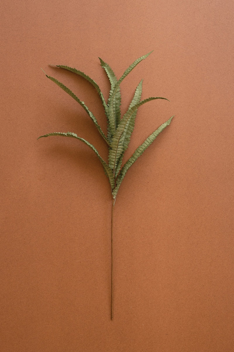 A single artificial fern stem with green fronds, laid flat on a solid terracotta brown background.