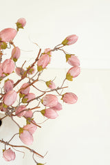 Botanica #3572 (Box of 6)