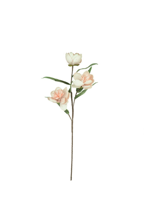 Botanica #3573 (Box of 6)