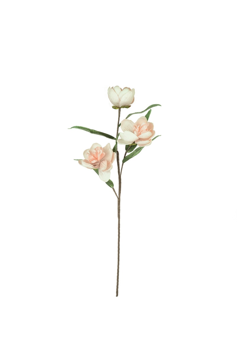 Botanica #3573 (Box of 6)