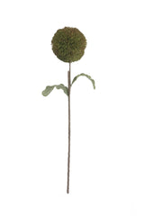 A single artificial-looking round green flower head on a long brown stem with two green leaves, isolated on a white background.