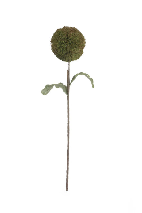 A single artificial-looking round green flower head on a long brown stem with two green leaves, isolated on a white background.