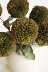 Botanica #3620 (Box of 6)